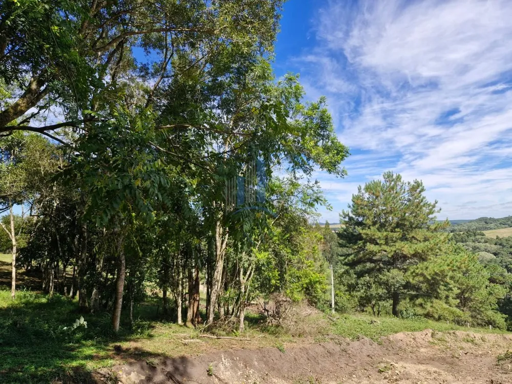 Terreno, 1090 m² - Foto 3