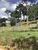 Chácara, 2 hectares - Foto 1
