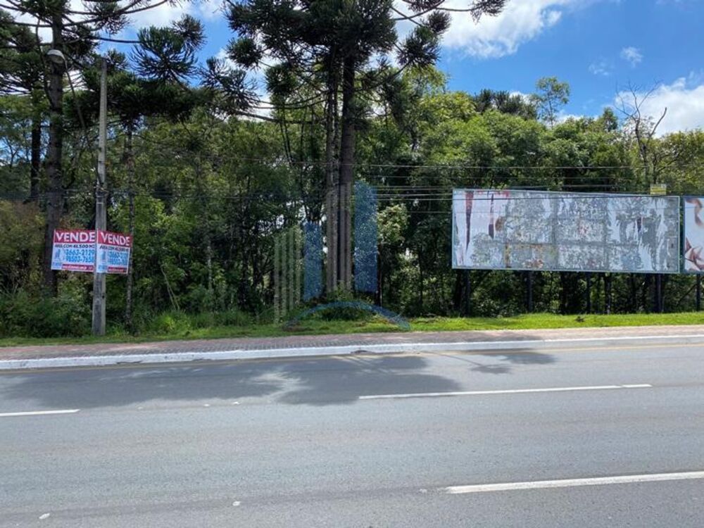 Terreno à venda, 41559m² - Foto 3