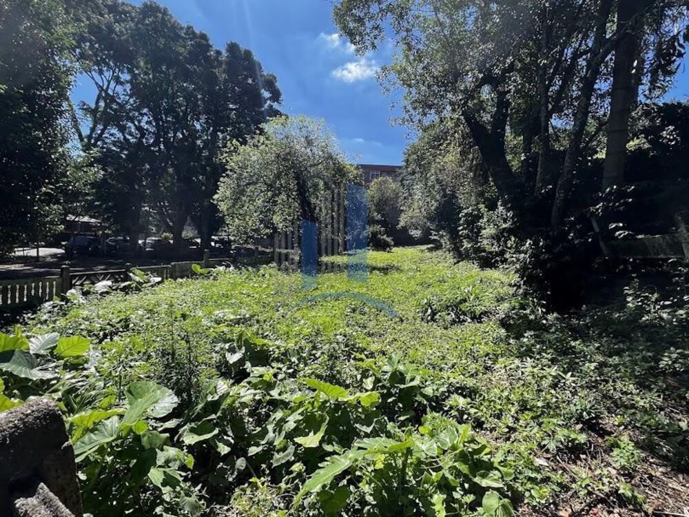 Terreno, 515 m² - Foto 3