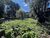 Terreno, 515 m² - Foto 3