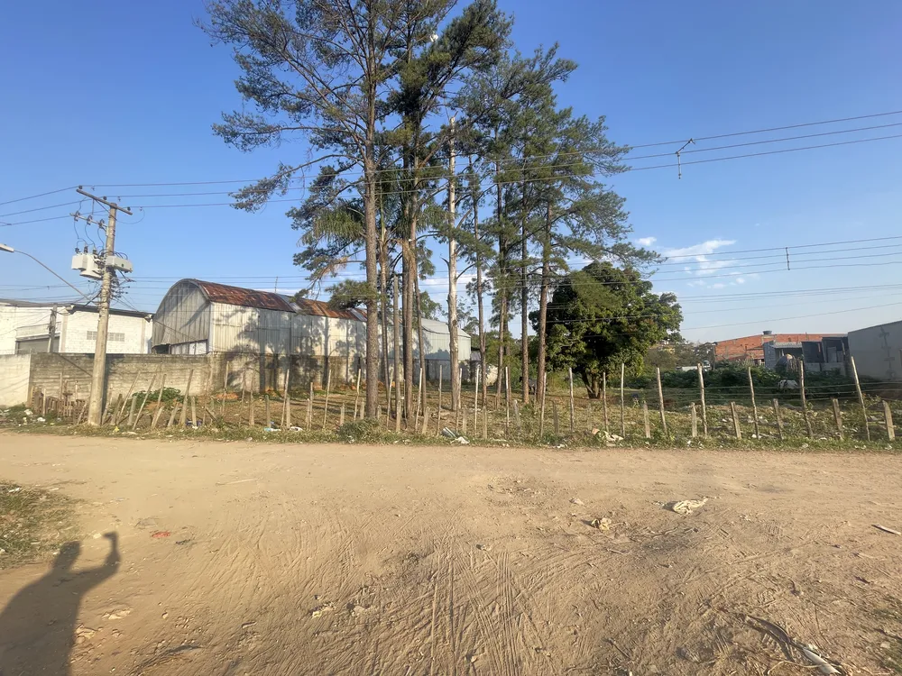 Terreno, 6000 m² - Foto 3