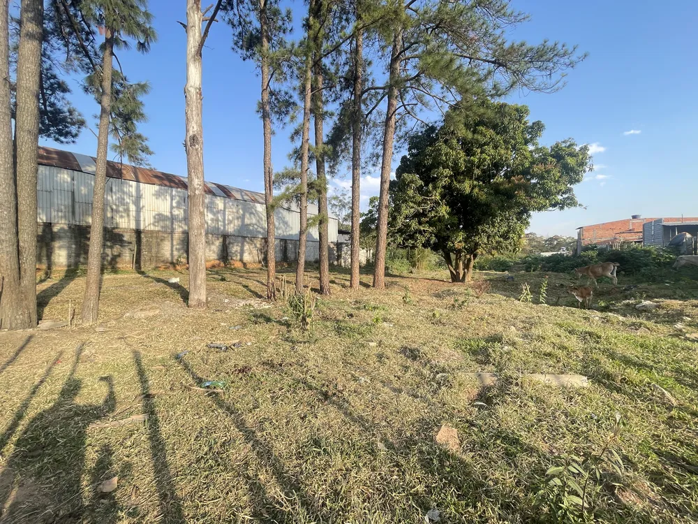 Terreno, 6000 m² - Foto 2