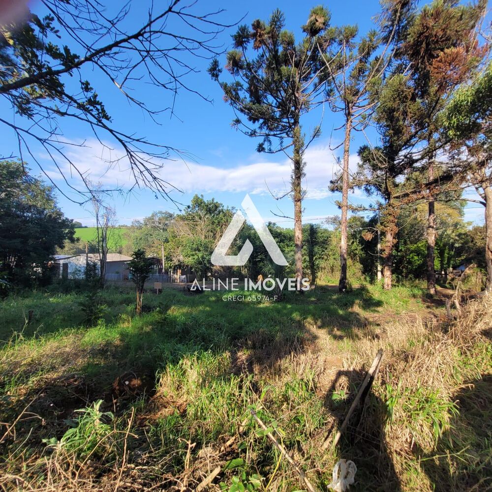 Terreno - Foto 2