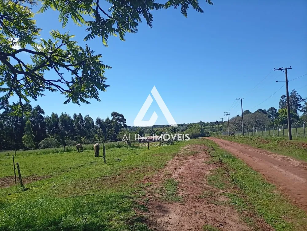 Terreno, 10000 m² - Foto 3