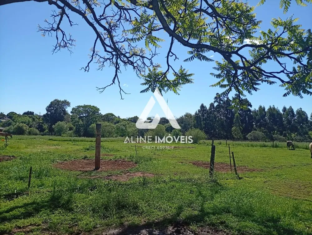 Terreno, 10000 m² - Foto 1