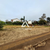 Terreno - Foto 2