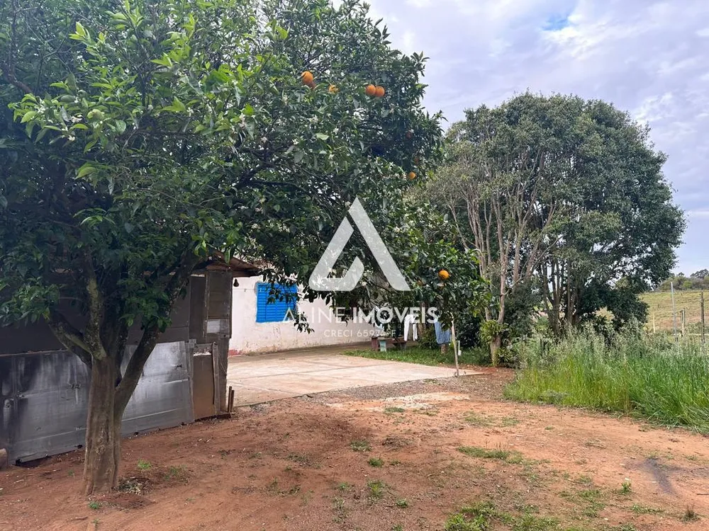Chácara, 3 quartos - Foto 1