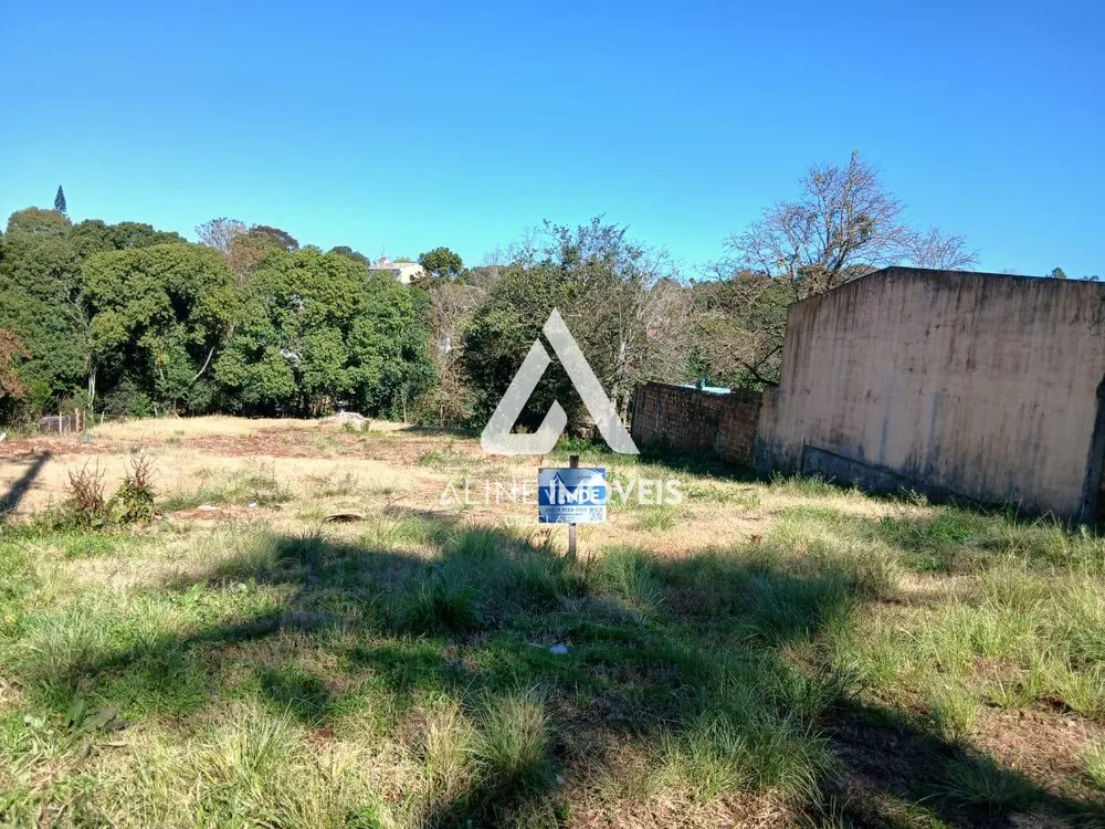 Terreno - Foto 1