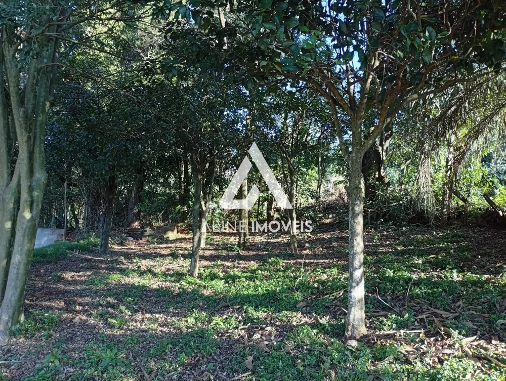 Terreno - Foto 3
