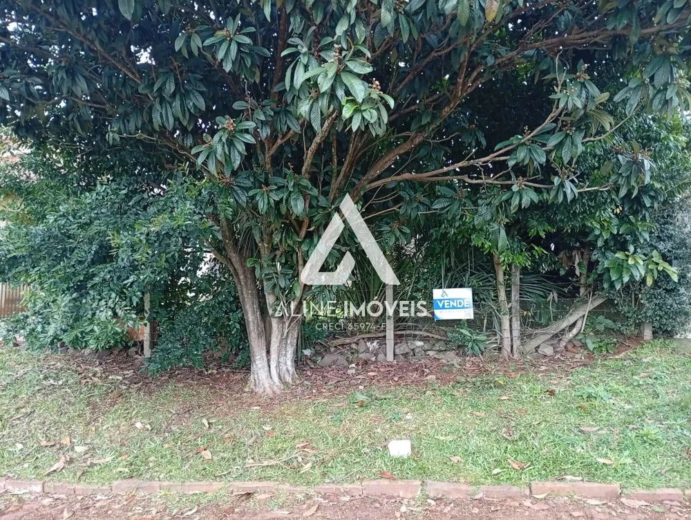 Terreno - Foto 3
