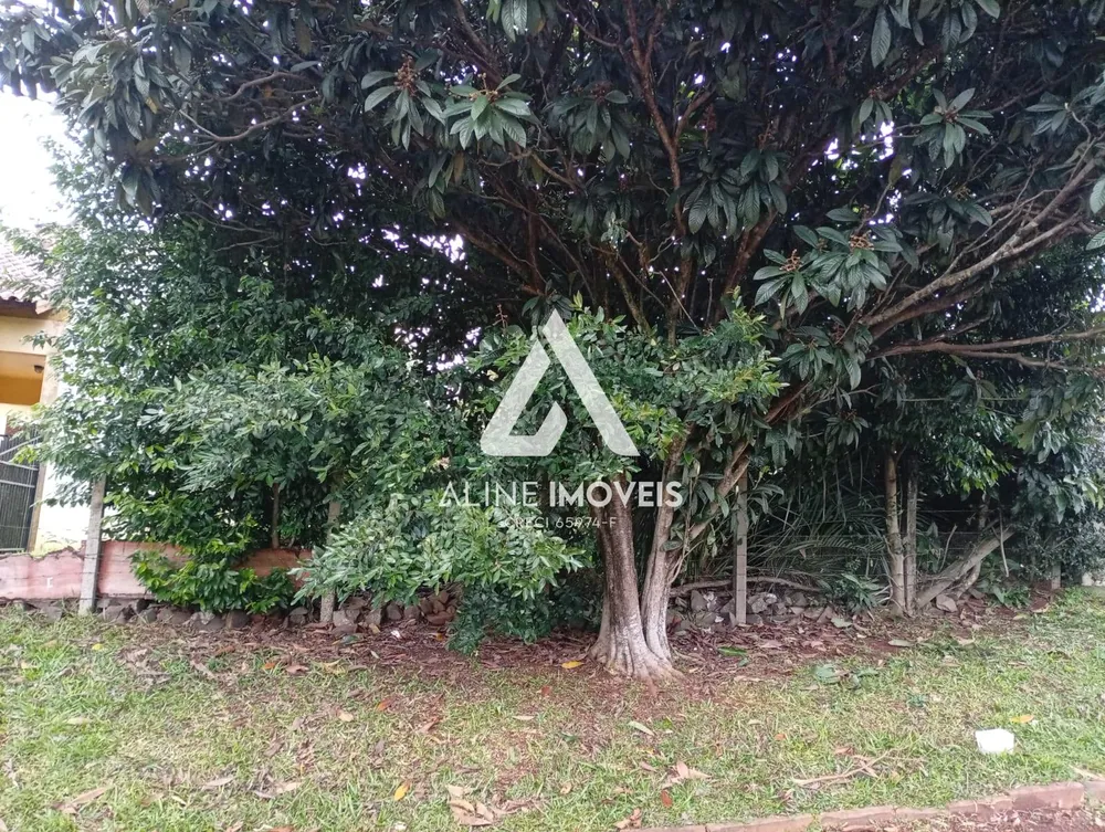 Terreno - Foto 4
