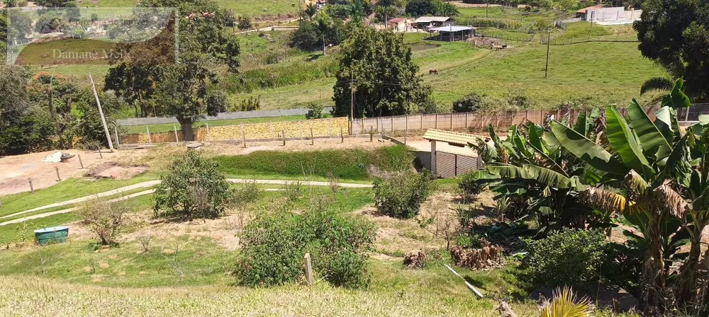 Chácara, 3 quartos, 2516 m² - Foto 5