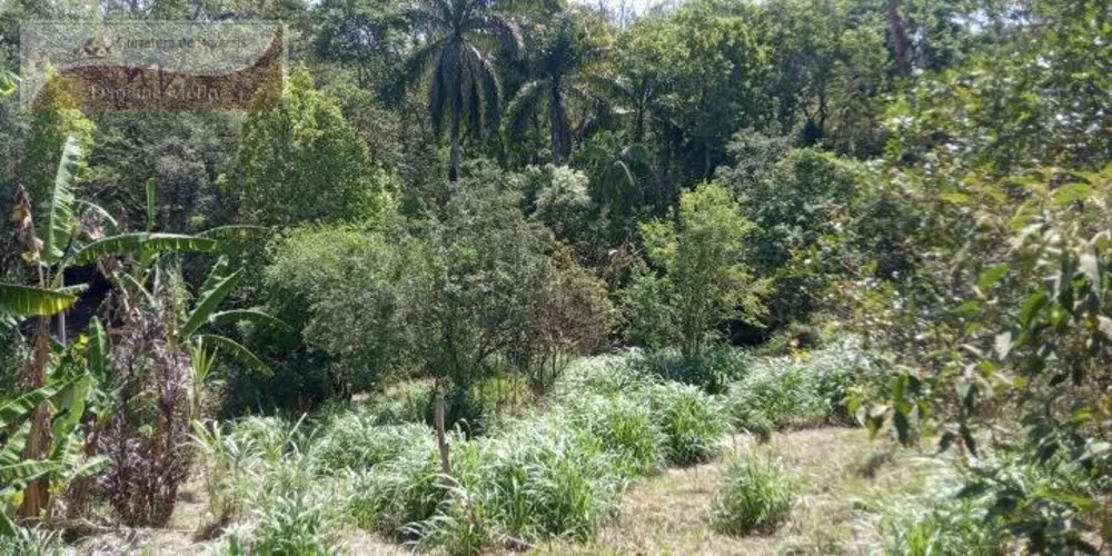 Sítio, 2 quartos, 8 hectares - Foto 8