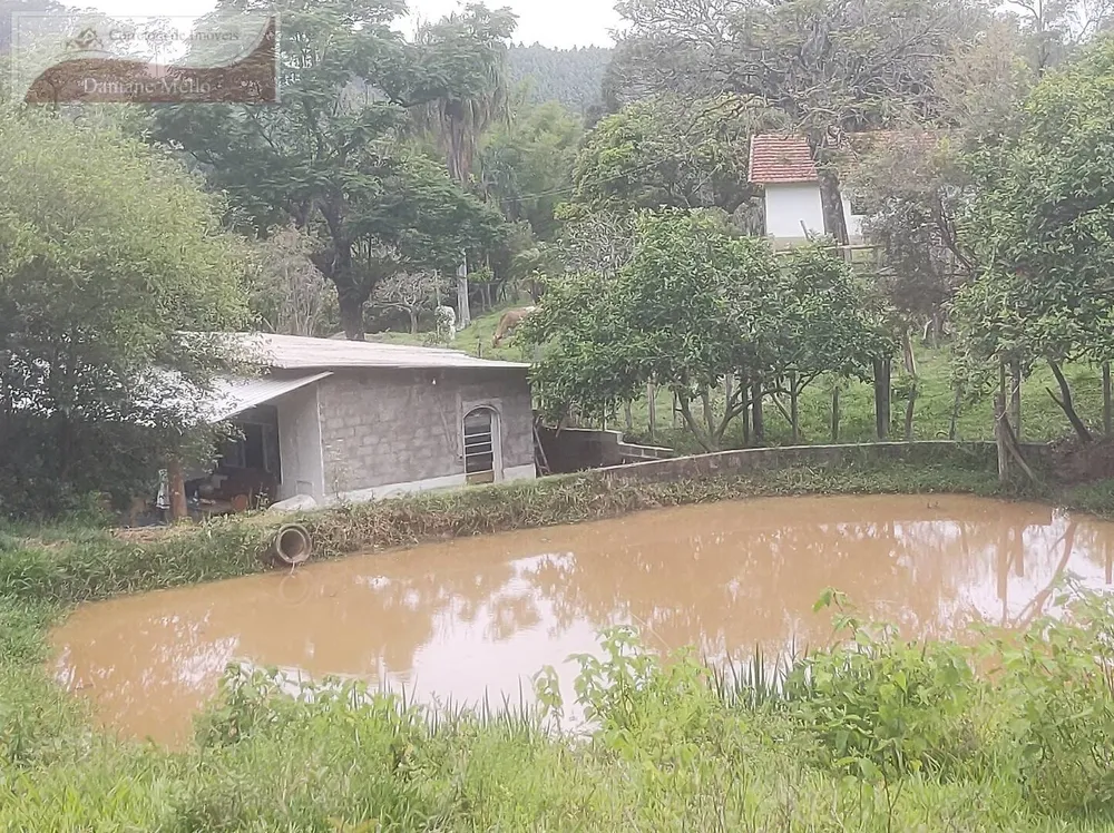 Sítio, 2 quartos, 2 hectares - Foto 14