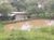 Sítio, 2 quartos, 2 hectares - Foto 2