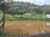 Sítio, 2 quartos, 2 hectares - Foto 9