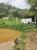 Sítio, 2 quartos, 2 hectares - Foto 7
