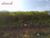 Terreno, 285 m² - Foto 2
