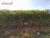 Terreno, 285 m² - Foto 4