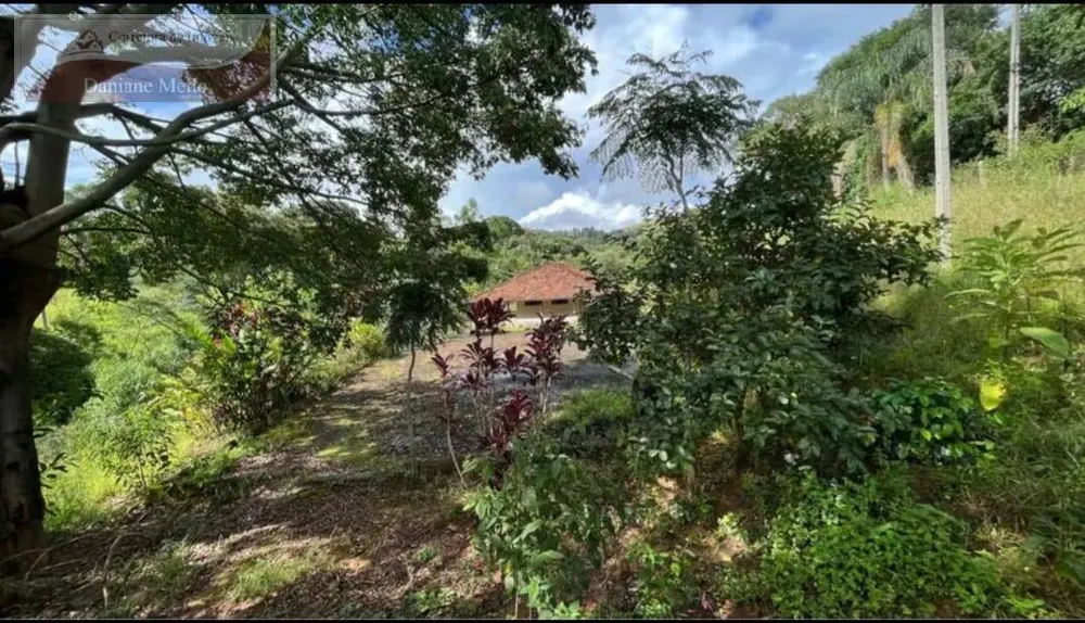 Terreno, 1 hectares - Foto 4