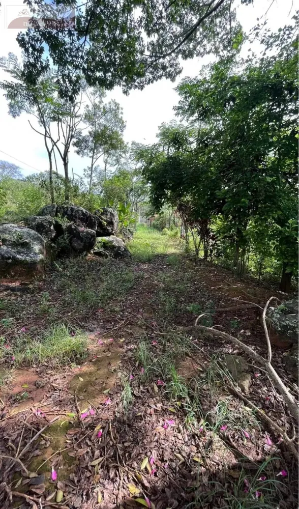 Terreno, 1 hectares - Foto 12