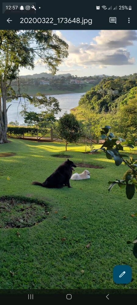 Casa de Condomínio, 8 quartos - Foto 8