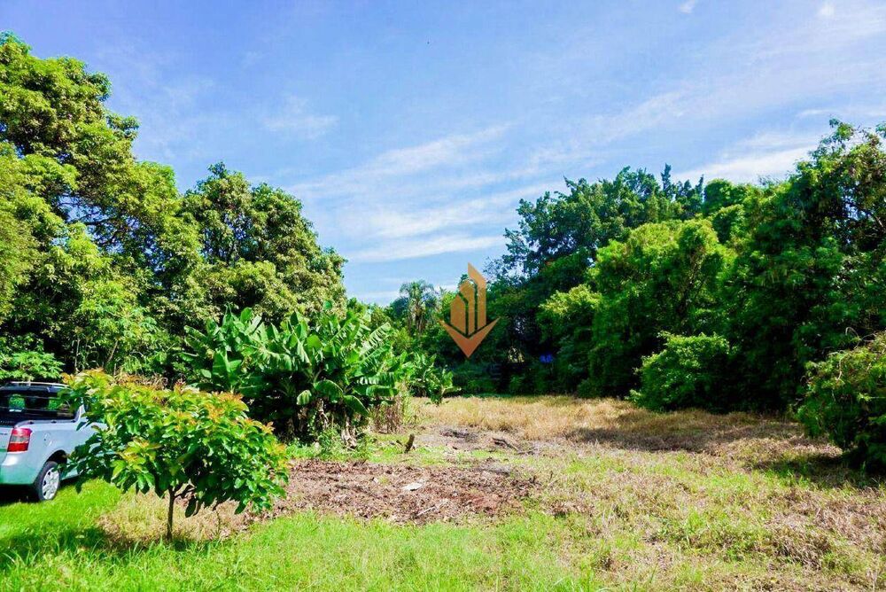 Terreno, 1 hectares - Foto 3