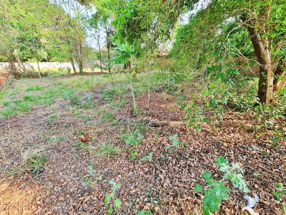 Terreno, 1485 m² - Foto 3