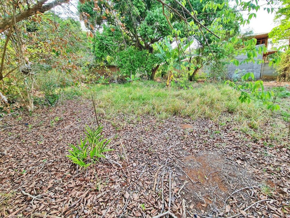 Terreno, 1485 m² - Foto 2