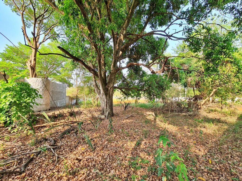 Terreno, 1485 m² - Foto 4