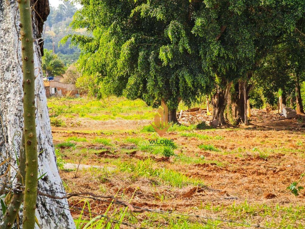 Terreno, 4 hectares - Foto 3