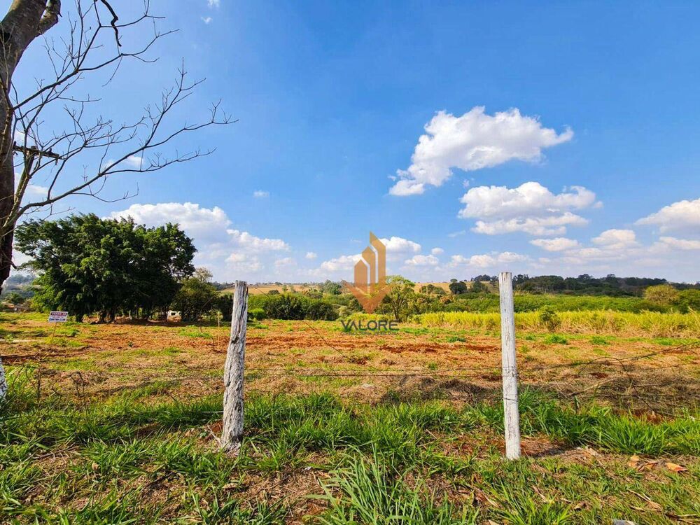 Terreno, 4 hectares - Foto 1