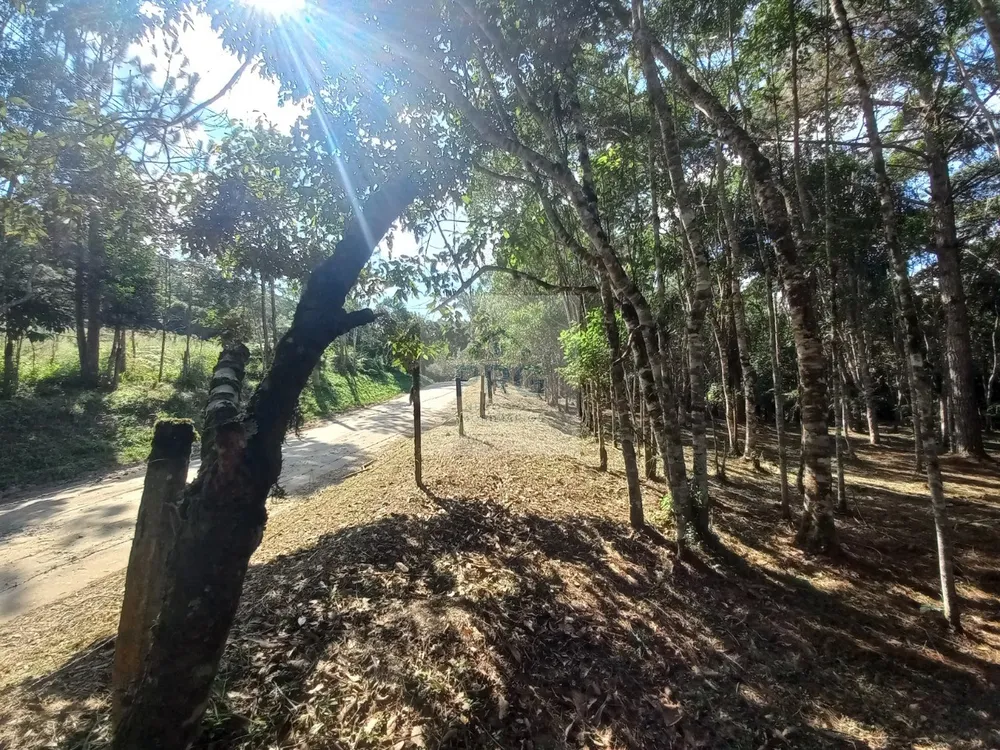 Terreno, 2 hectares - Foto 9