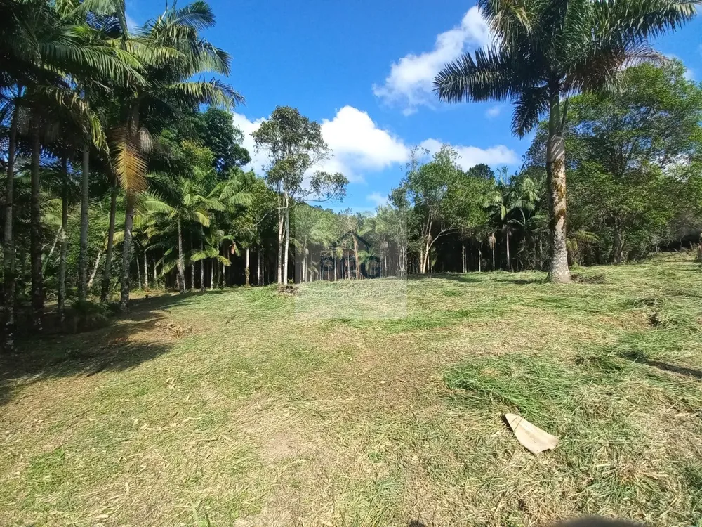 Terreno, 2 hectares - Foto 2