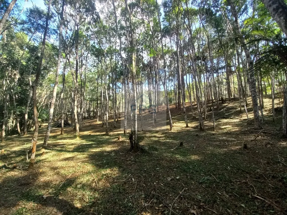 Terreno, 2 hectares - Foto 7