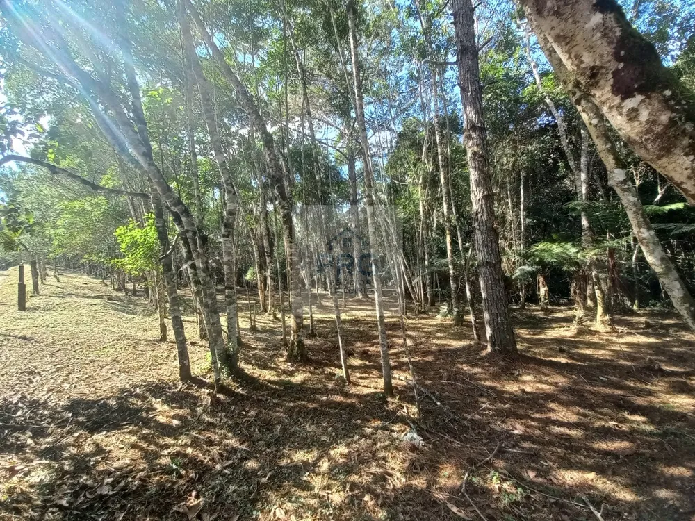 Terreno, 2 hectares - Foto 8
