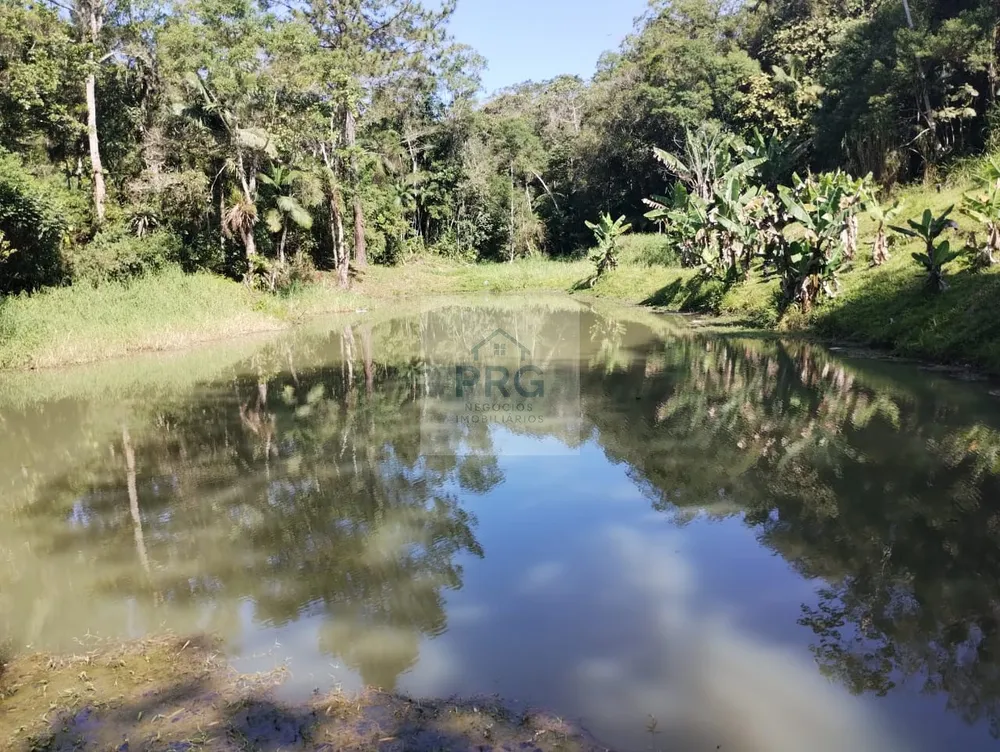 Chácara, 3 quartos, 7 hectares - Foto 10