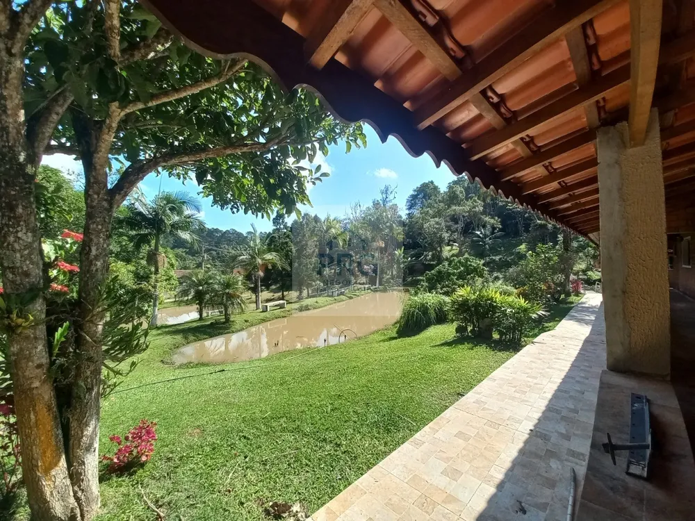 Chácara, 3 quartos, 8000 m² - Foto 7