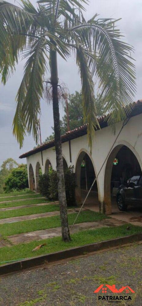 Terreno, 61 hectares - Foto 4