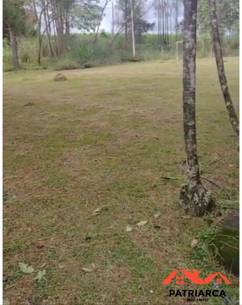 Terreno, 61 hectares - Foto 6