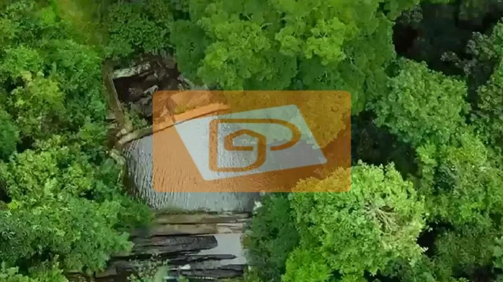 Fazenda, 48 hectares - Foto 6