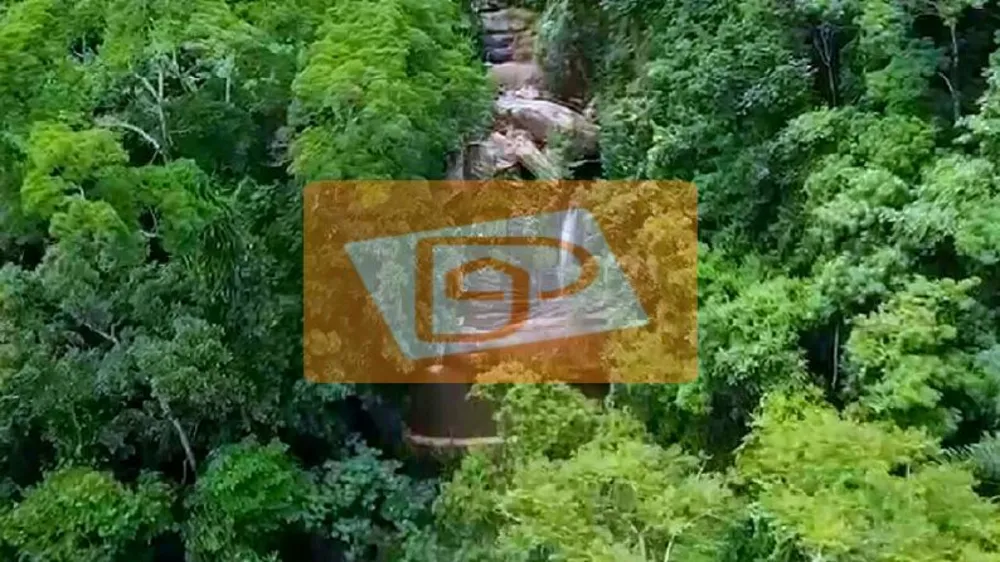 Fazenda, 48 hectares - Foto 4