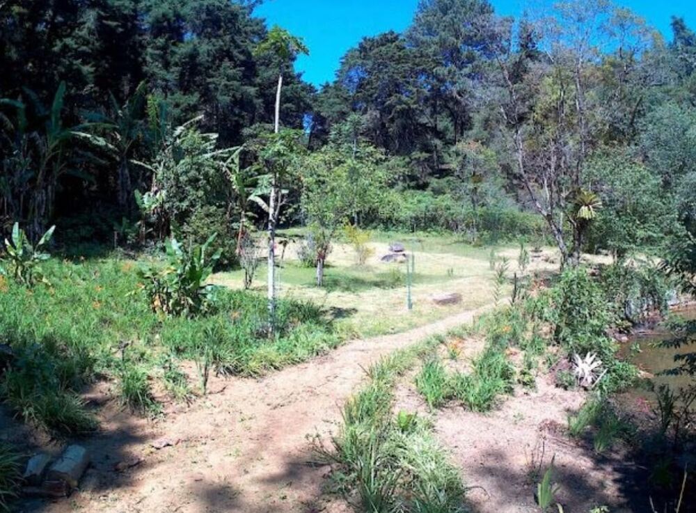 Chácara, 4 quartos, 1 hectares - Foto 8