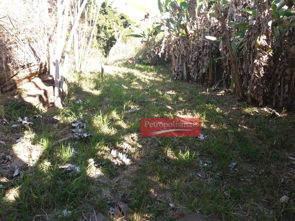 Chácara, 2 quartos, 5 hectares - Foto 7