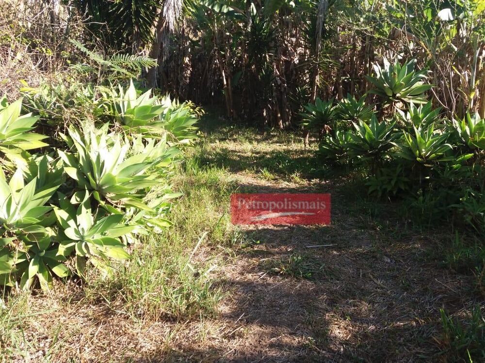 Chácara, 2 quartos, 5 hectares - Foto 8