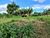 Terreno, 420 m² - Foto 4
