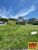 Terreno, 300 m² - Foto 1