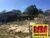 Terreno, 420 m² - Foto 3