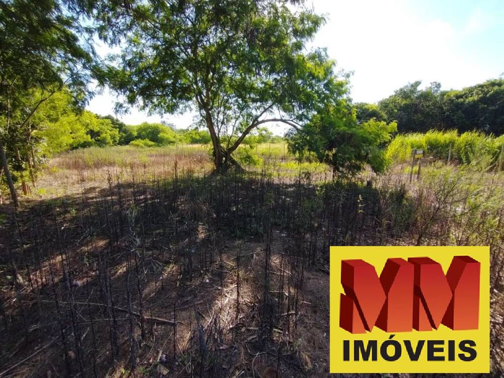 Terreno, 1000 m² - Foto 3